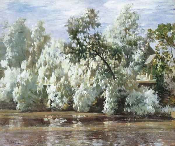 Willows - view 1