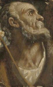 The Head of Saint Joseph by Palma Vecchio (Jacopo Negretti)