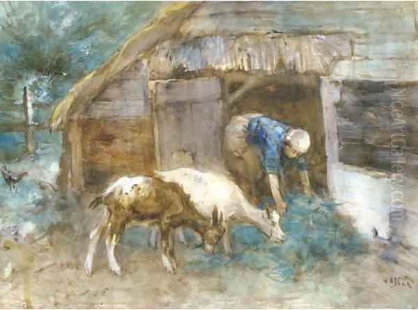 Feeding the goats - view 1