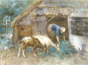 Feeding the goats by Willem Van Der Nat