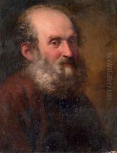 A bearded man by Giuseppe Nogari