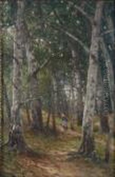 Blick In Waldinneres Mit Bauerin - view 1