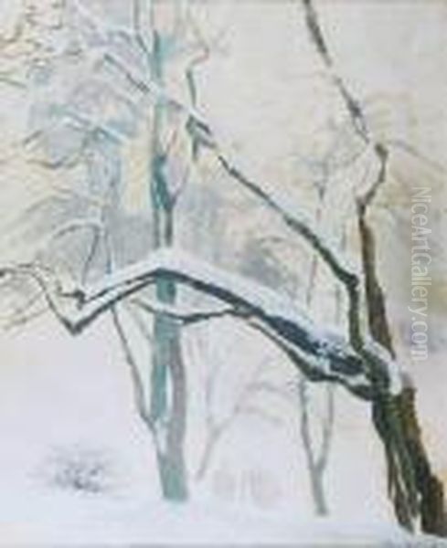 Drzewa W Sniegu - view 1