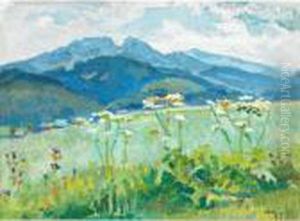 Mountain Meadow Mountain Meadow