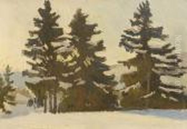 Zima - view 1