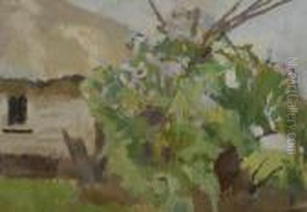 Pejzaz Wiosenny - view 1