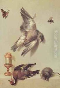 Still Life of Dead Birds and a Mouse, 1712 by Jean-Baptiste Oudry