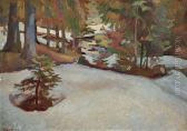 Las Zima - view 1