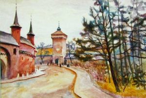 Widok Na Barbakan I Brame Florianska