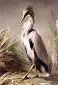 A Heron by Jean-Baptiste Oudry