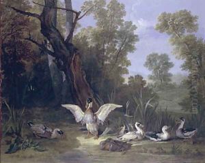 Ducks Resting in Sunshine 1753 by Jean-Baptiste Oudry