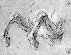 The Front Legs Of A Rearing Horse by Jean-Baptiste Oudry