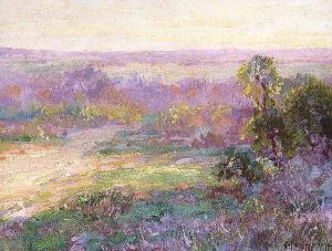 Last Rays of Sunlight, Early Spring in San Antonio 1922 by Julian Onderdonk