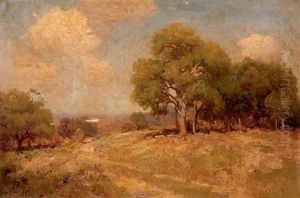 A Grove of Live Oak Trees, Southwest Texas by Julian Onderdonk