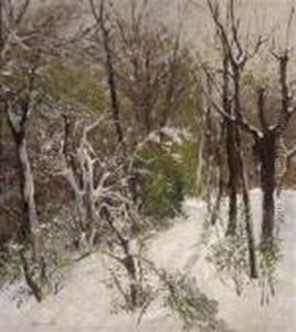 Winterwoodland Winterwoodland