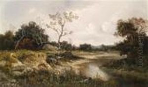 Flusslandschaft