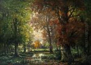 Herbstwald Herbstwald