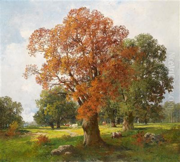 Herbstliche Weidelandschaft - view 1