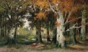 Holzarbeiter Im Herbstwald