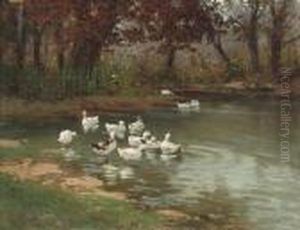 At The Duckpond At The Duckpond