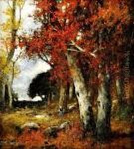 Starenka V Lesnom Interieri by Adolf Kaufmann