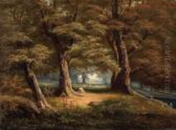 Grose Waldlandschaft - view 1