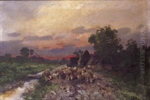 Sheep On Their Way To Pasture