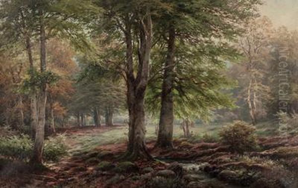 Waldlandschaft - view 1