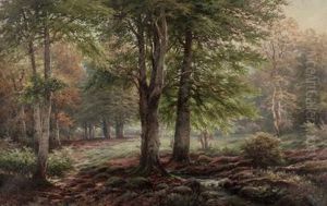 Waldlandschaft Waldlandschaft