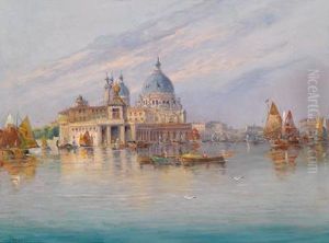 Blick Auf Den Canal Grande Und Santa Mariadella Salute