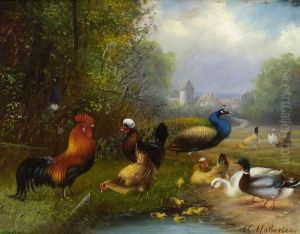 Huhner, Enten Und Pfau Am Teich