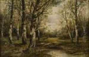 Reisigsammlerin Auf Einer Waldlichtung