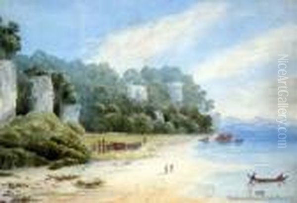 Limestone Cliffs, Pokerua Bay, Motupipi - view 1