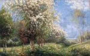 Trees Blossomg On The Hillside by Karl Kaufmann