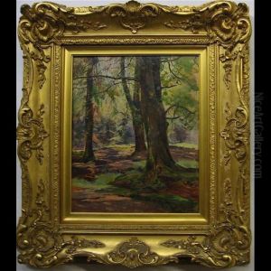 Shadows In The Forest by Archibald Kay