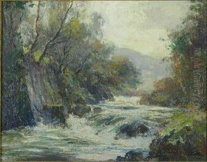Rapids