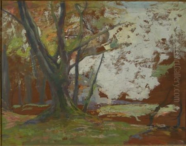Tree Study - view 1