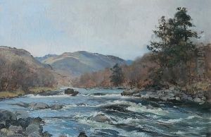 River Scene, Probably The Dochart River Scene, Probably The Dochart