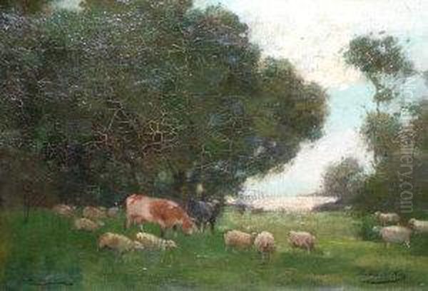 Scottish Rsa Rsw -- Cattle Watering By Woodland - view 1