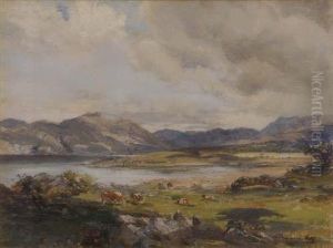 Cattle In A Highland Landscape Signed 11.5 X 15.5in