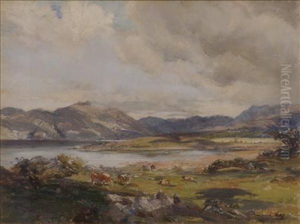 Cattle In A Highland Landscape - view 1