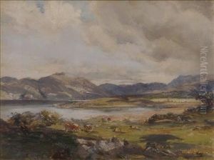 Cattle In A Highland Landscape