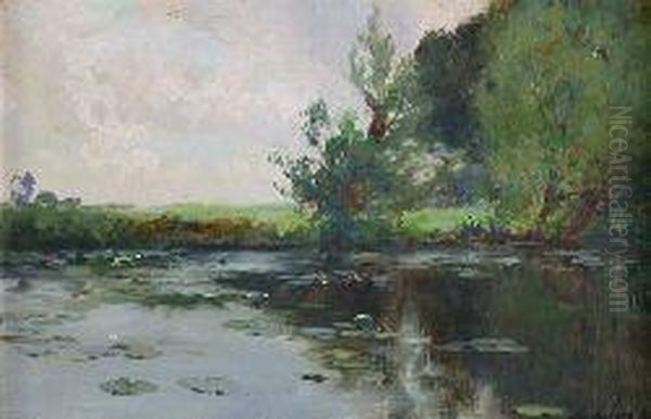 The Lily Pond - view 1