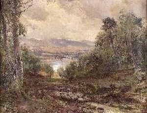 Sheep On A Woodland Path Above A Loch