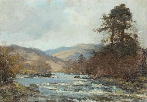 Falls Of Dochart - view 1