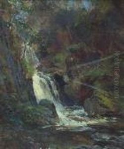Woodland Waterfall Woodland Waterfall