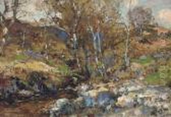 Woodland Scene Loch Long - view 1
