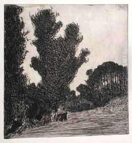 The Large Trees 1893 - view 1