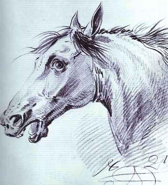 Head of a Horse I - view 1
