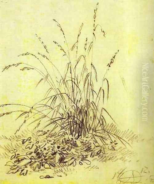 Grass - view 1
